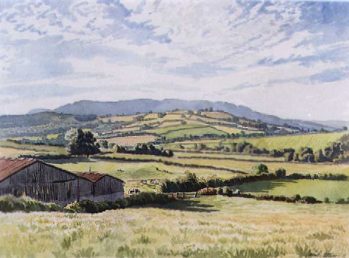 Welsh Farmland